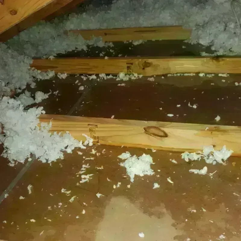 Attic Water Damage in Tamworth, NH